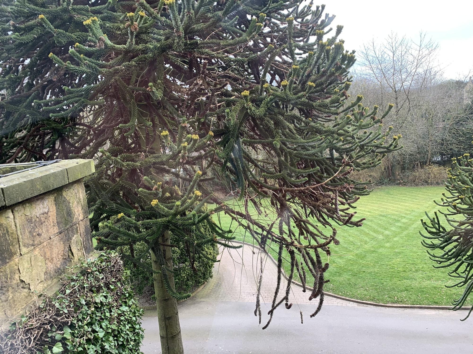Best Western Plus Sheffield Mosborough Hall Hotel Eksteriør billede